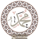 Calligraphie Prophète Mohamed Sws 17