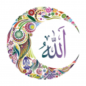 Tableau Calligraphie Islam : Allah Multico